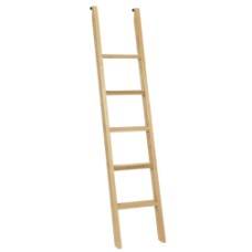 Wood Ladder